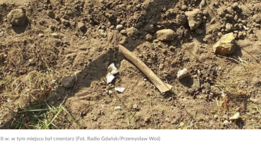 Przy kościele znaleziono ludzkie kości. Robotnicy zostawili je na trawniku