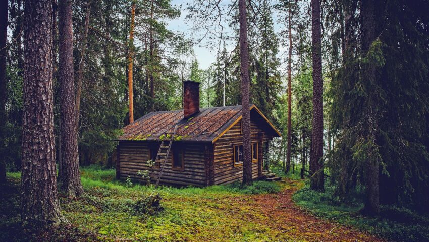 Media w Finlandii: Rosjanie zakopują euro w przygranicznych lasach