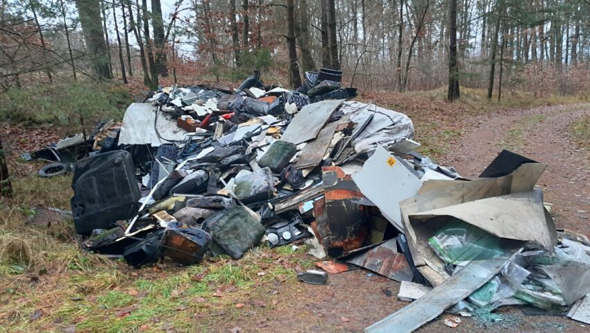 Ważny apel leśników! Spójrzcie dobrze na to zdjęcie, być może będziecie w stanie pomóc