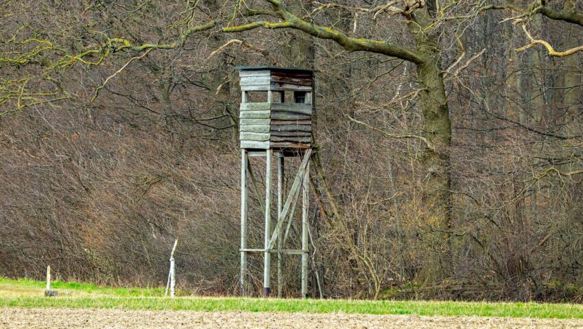 Podczas polowania zastrzelił kolegę. Dramatyczne zdarzenie na Podlasiu