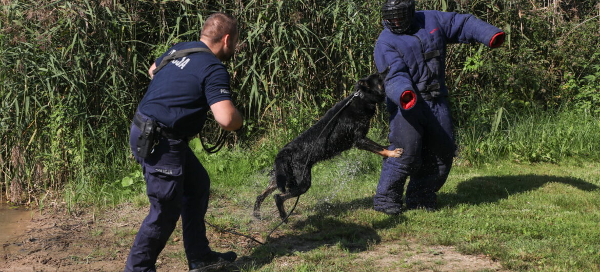 20-latek odpowie znęcanie się nad zwierzętami. Filmy udostępniał w sieci