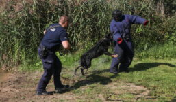 20-latek odpowie znęcanie się nad zwierzętami. Filmy udostępniał w sieci