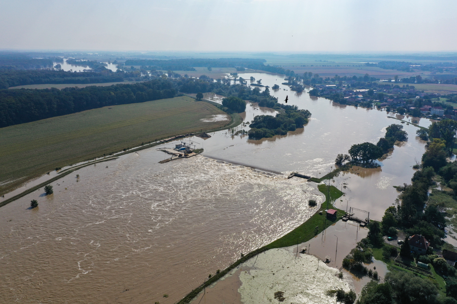 To może potrwać. Wody Polskie oszacowały, jak długo będzie przechodziła fala powodziowa na Odrze