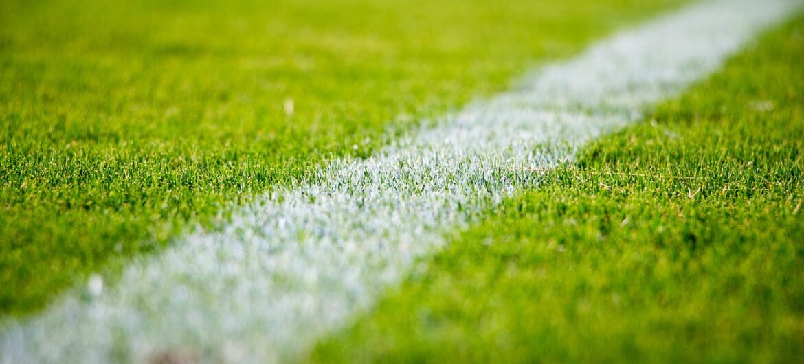 Kibice handlują szczęśliwą trawą. “Dała” awans FC Koeln do Bundesligi