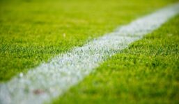 Kibice handlują szczęśliwą trawą. “Dała” awans FC Koeln do Bundesligi