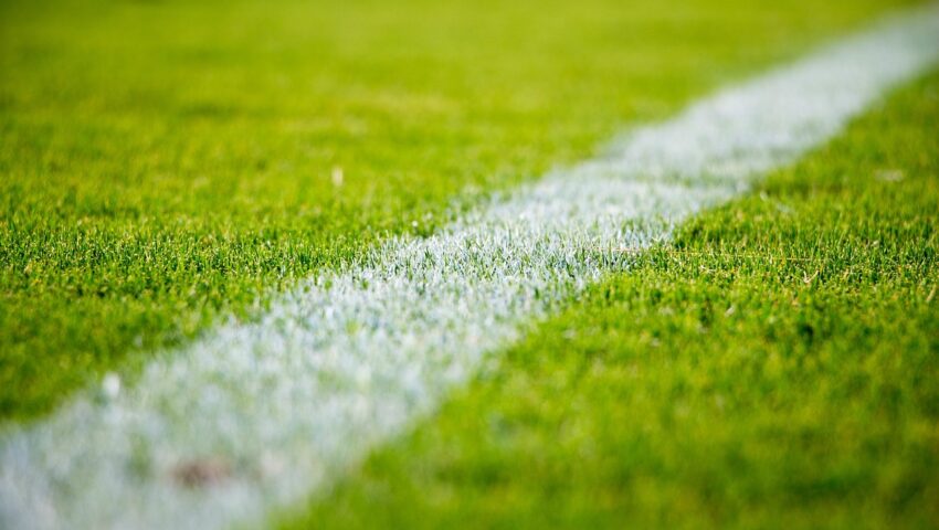 Kibice handlują szczęśliwą trawą. “Dała” awans FC Koeln do Bundesligi