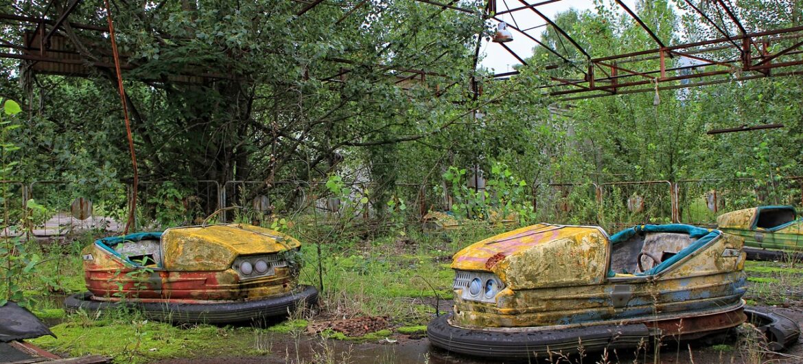 Psy z niebieską sierścią pojawiły się w pobliżu Czarnobyla