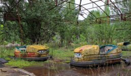 Psy z niebieską sierścią pojawiły się w pobliżu Czarnobyla