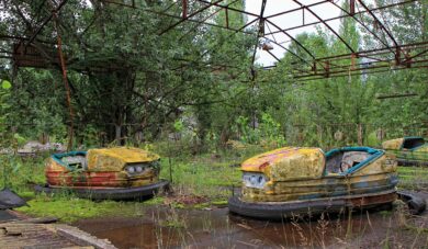 Psy z niebieską sierścią pojawiły się w pobliżu Czarnobyla