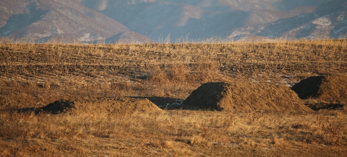 Obozy w Rosji to “za mało”. Porwane dzieci są wysyłane do Korei Północnej