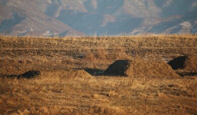 Obozy w Rosji to “za mało”. Porwane dzieci są wysyłane do Korei Północnej