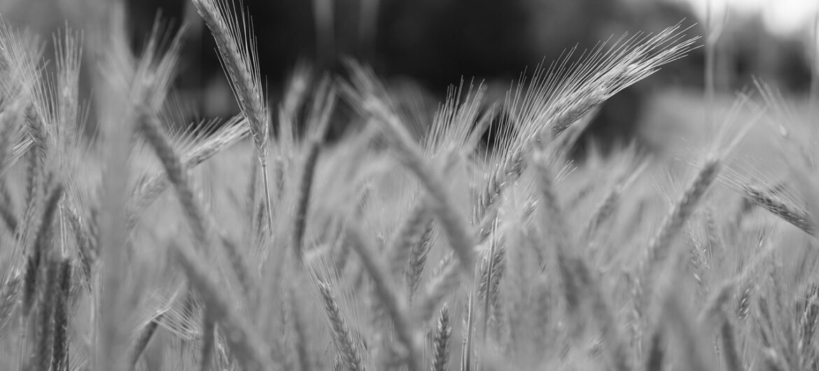 Słynny kolarz mordował rolników? Grozi mu 45 lat więzienia