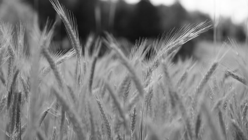 Słynny kolarz mordował rolników? Grozi mu 45 lat więzienia