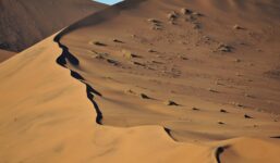 Polska załoga na rajdzie Dakar jedzie ciężarówką… z muzeum