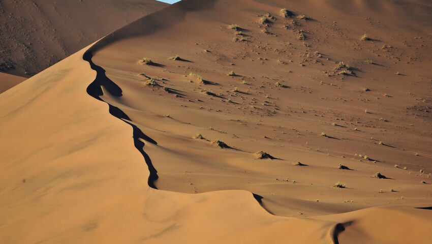 Polska załoga na rajdzie Dakar jedzie ciężarówką… z muzeum