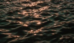 “Sny to wiadomości z głębin”? Artysta przewidział własną śmierć w katastrofie lotniczej